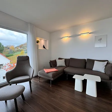 Stella Regia 5 Apartment Meersburg